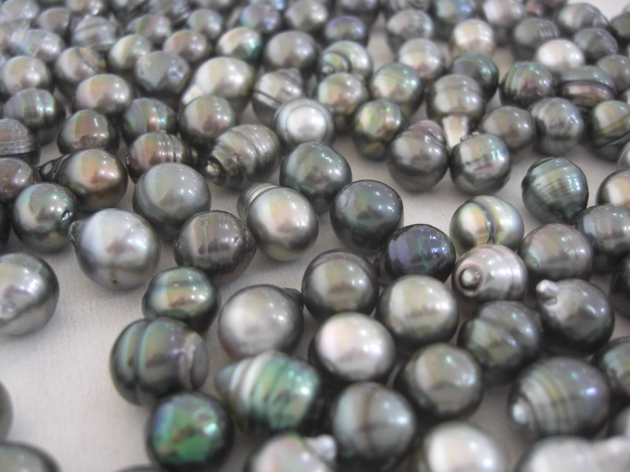 Tahitian Pearl Farm